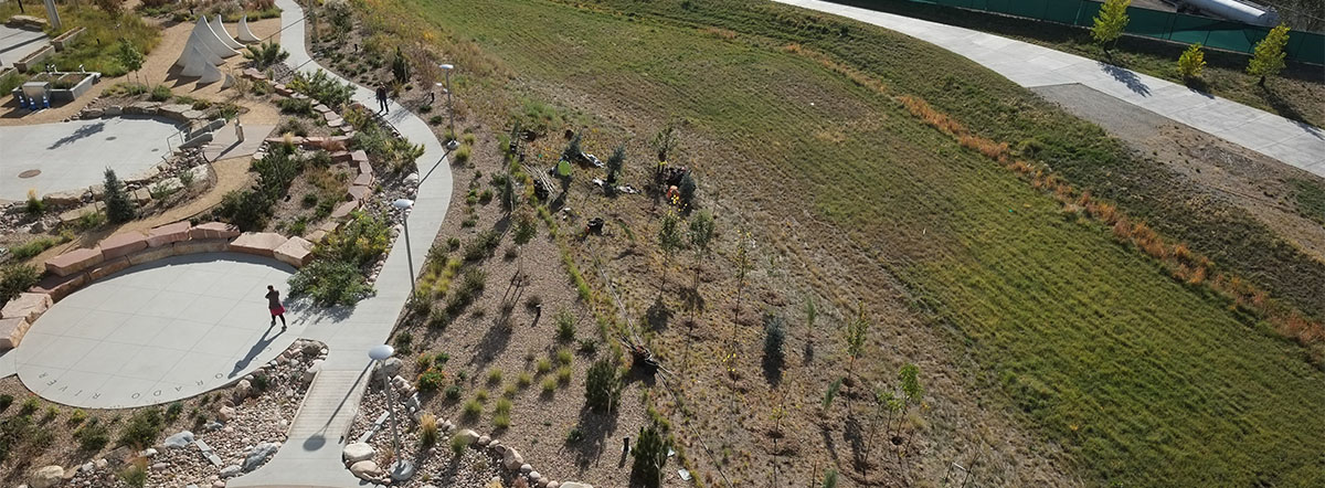 Picture of Hydro Backyard landscape and research grove